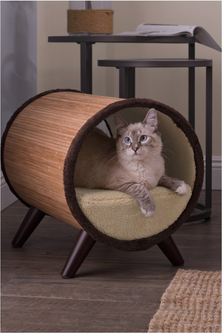 top 5 places to put cat beds