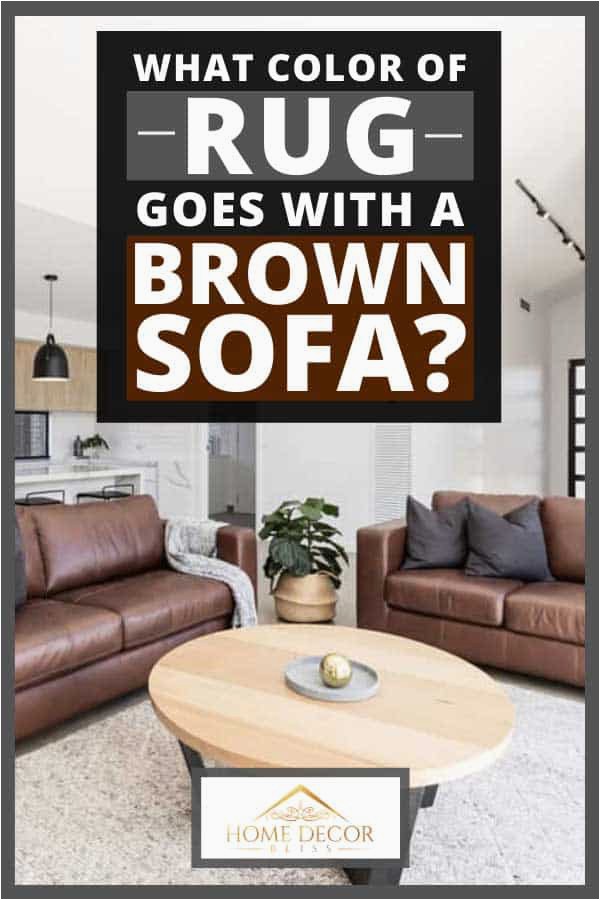 What Color of Rug Goes With a Brown Sofa