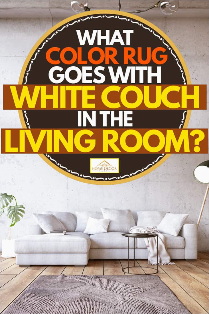 What Color Rug Goes With White Couch in the Living Room
