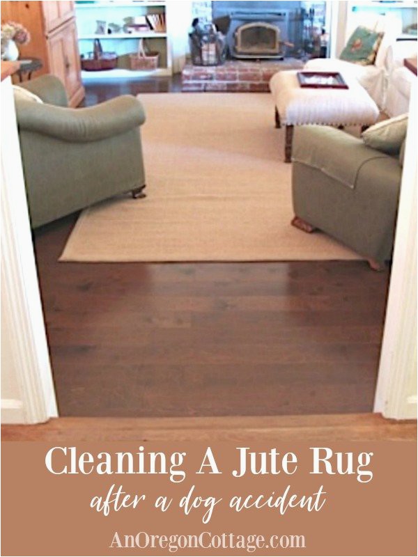 Area Rug Smells Like Dog Cleaning A Jute Rug after A Dog Accident