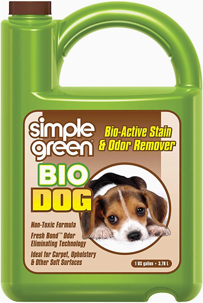 Area Rug Smells Like Dog Simple Green Bio Dog Active Stain & Odor Remover Enzyme Cleaner & Stain Remover for Carpet Rugs & Fabric Eliminates Urine Odor