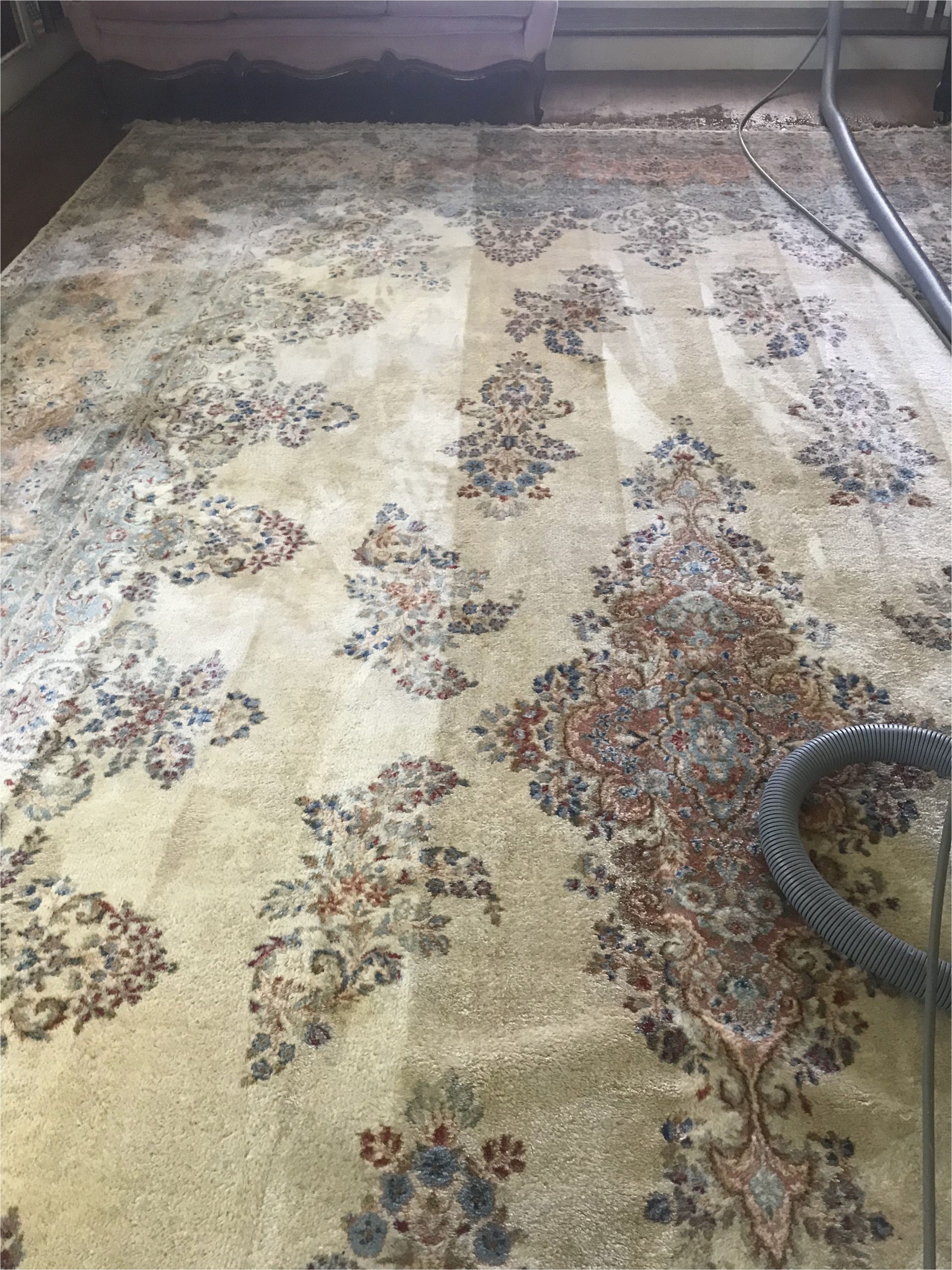 Best area Rug Cleaner Machine Alpine Cleaners the Best Carpet Cleaning Pany In