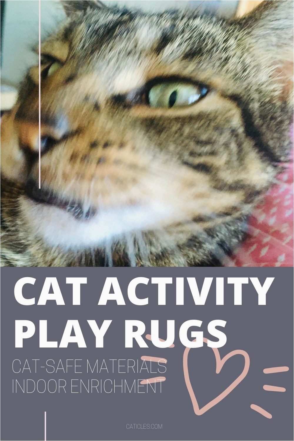 Best area Rugs for Cats with Claws Cat Activity Play Rug Buying Guide Ripple Rug and Puzzle