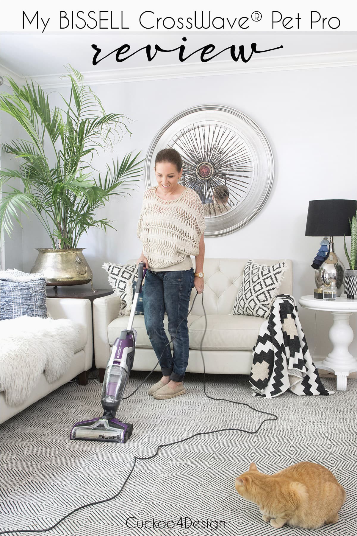 Bissell Crosswave area Rug Cleaner My Bissell Crosswave Pet Pro Review