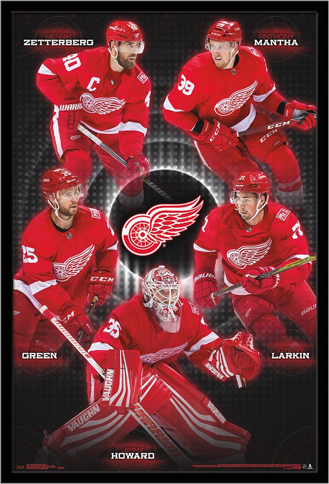 Detroit Red Wings area Rug Detroit Red Wings Team