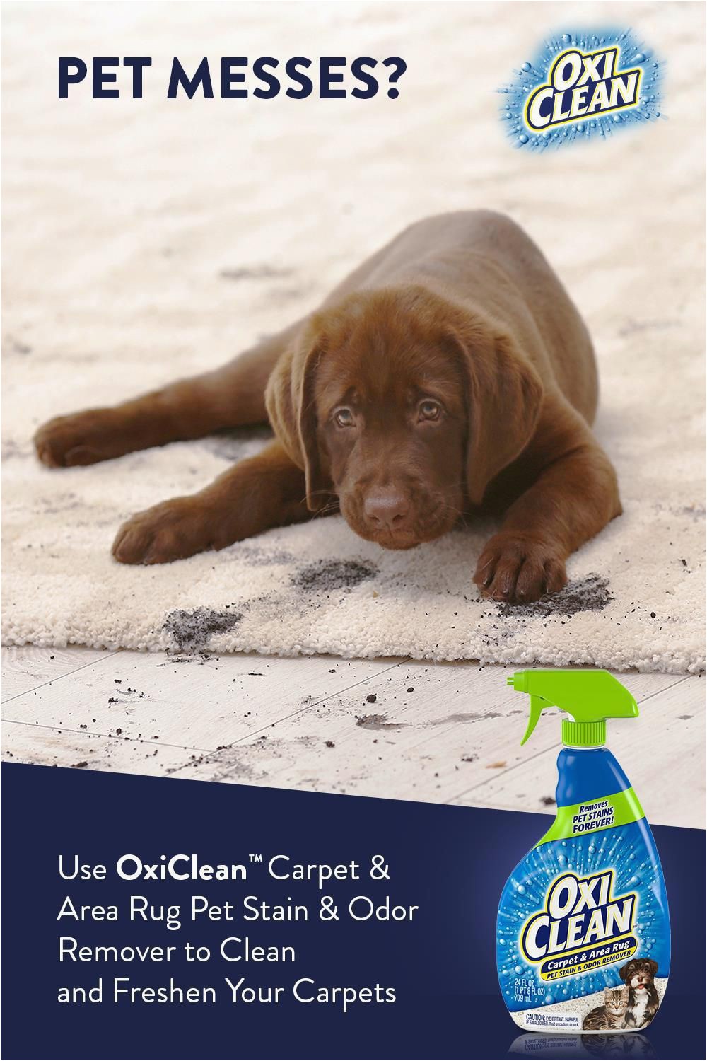 Dog Paw Print area Rugs Pet Messes Carpet Stain Remover