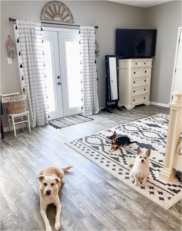 Good area Rugs for Dogs Pin On Pet Friendly Rugs
