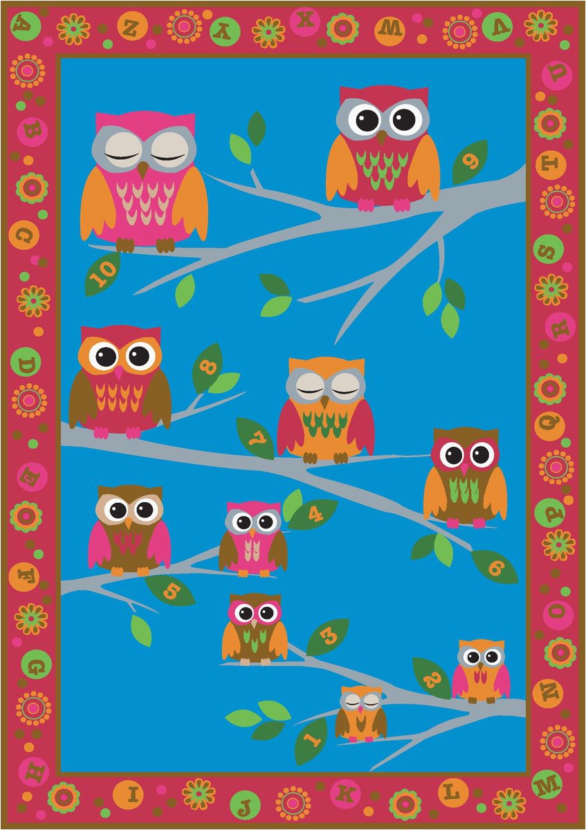 Owl area Rug for Nursery Hoot Hoot Owl Childrens Rug