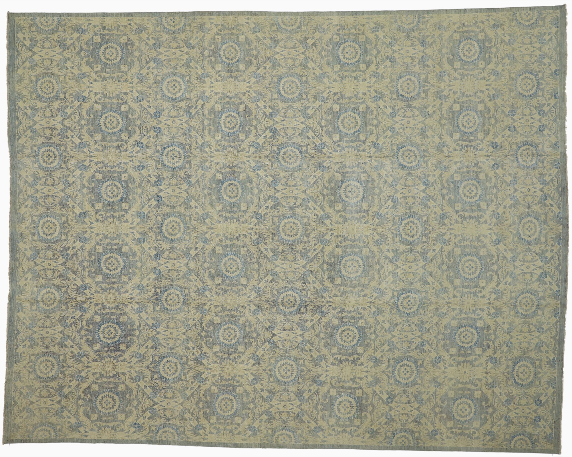 11 by 14 area Rugs 11 X 14 Transitional area Rug