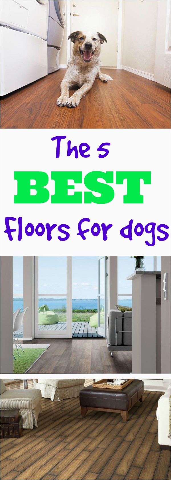 Best area Rugs with Pets What S the Best Flooring for Dogs Flooring Inc