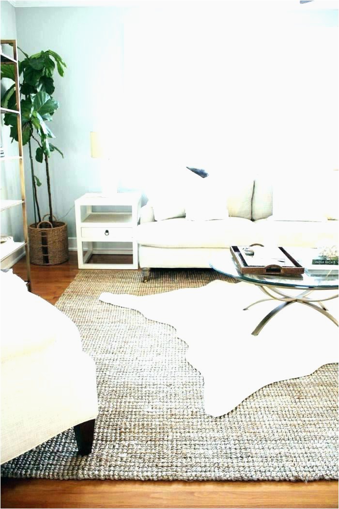 Cheap area Rugs Big Lots Rugs Big for Sale Philippines Extra area Beautiful Rug