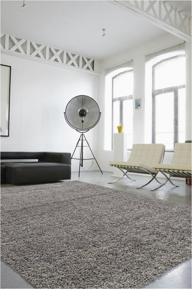 Area Rugs for College Dorms College Apartment Tips How to Use area Rugs to Cover Boring