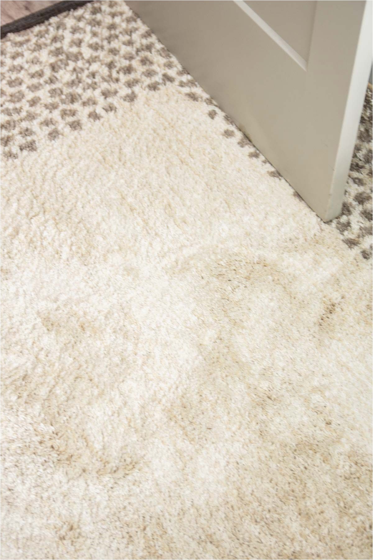 Area Rugs for College Dorms Cornell Apartment area Rugs for Each Bedroom