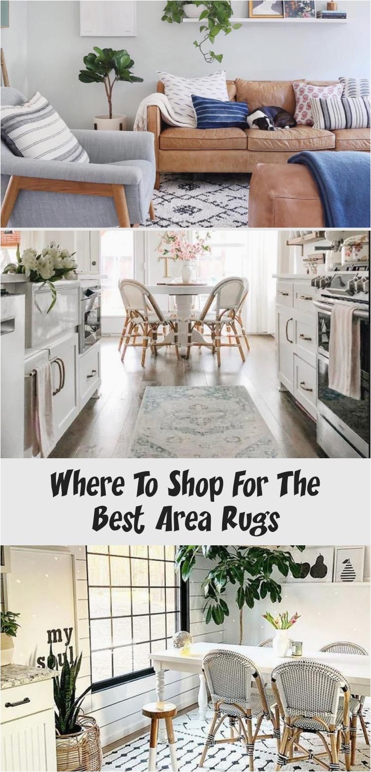 Best area Rugs for Family Room where to Shop for the Best area Rugs Jasmin