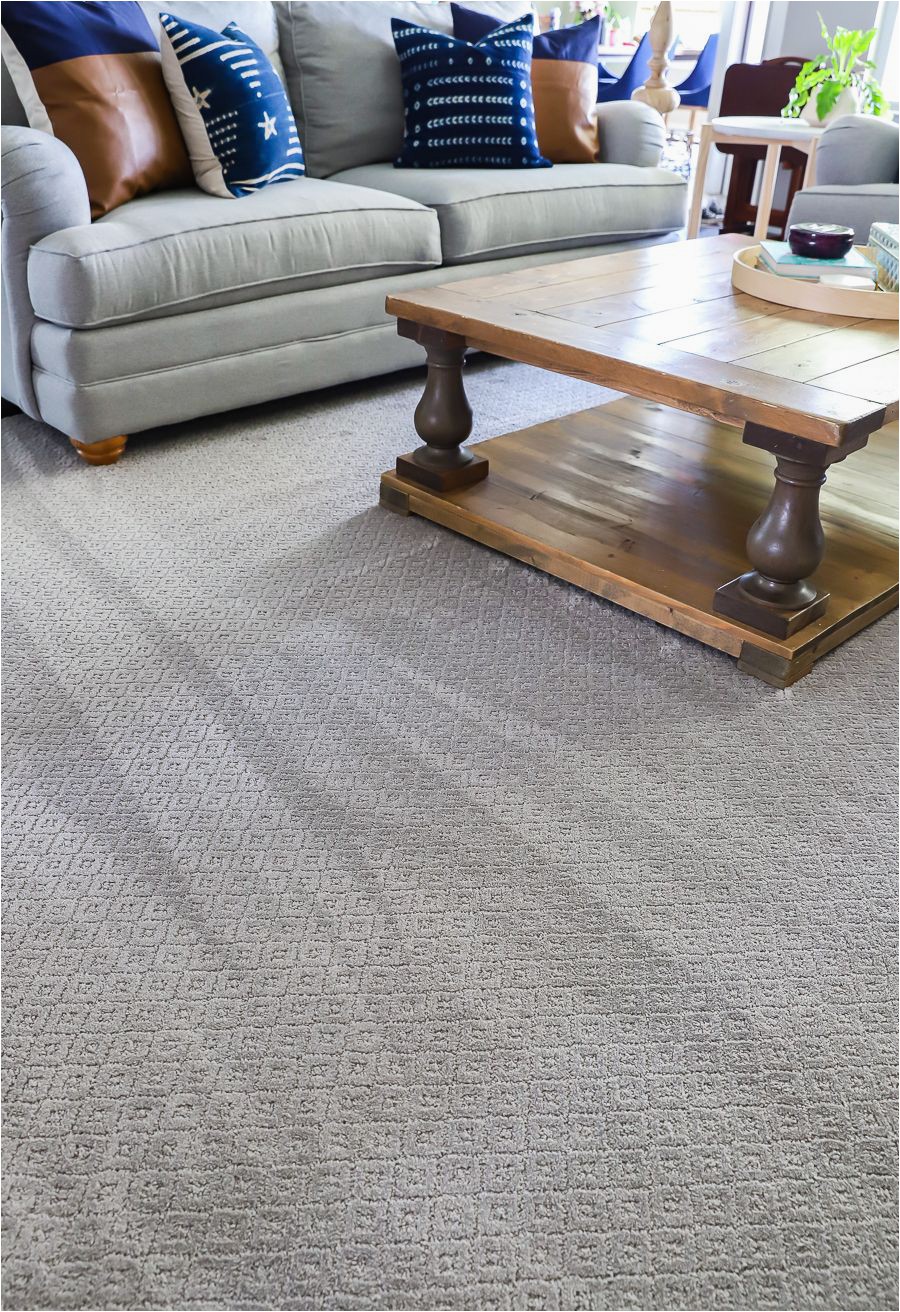 Best Pet Friendly area Rugs the Best Pet Friendly Carpet is Petproof From the Home Depot