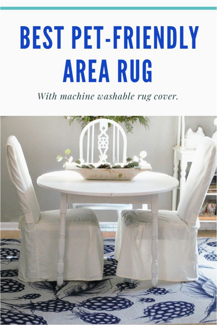 Best Pet Friendly area Rugs the Best Washable area Rug for A Pet Friendly Home