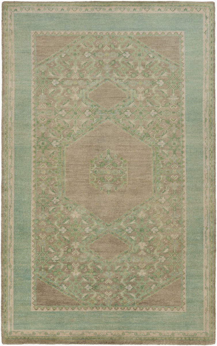 Brown and Seafoam Green area Rugs Surya Haven Hvn 1219 area Rug