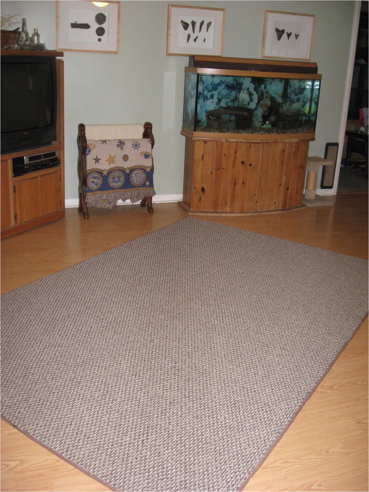 Lowes Carpets and area Rugs Carpets In the Classroom Random Idea