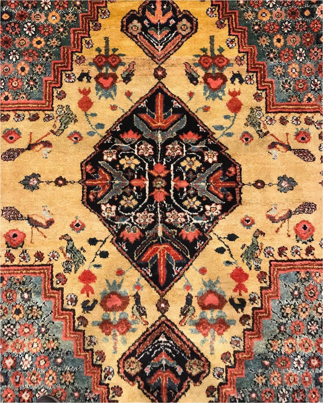 Bathroom Rugs Near Me Pin On Persian Rug