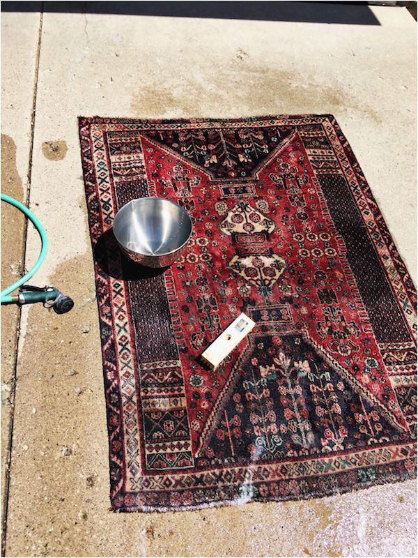 Places to Get area Rugs Cleaned Rachel Schultz How to Wash A Thrifted Rug It is Easy