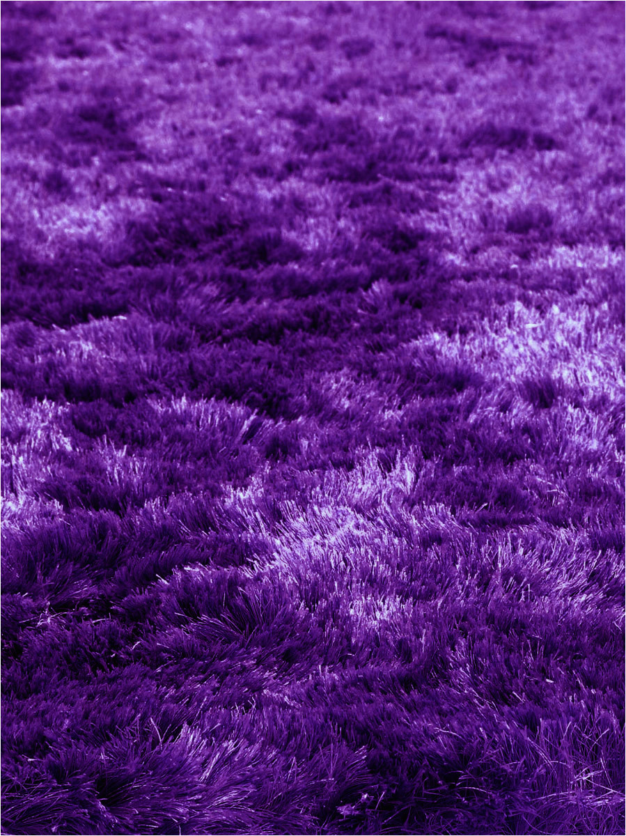 Dark Purple Bath Rugs Quirk Purple Shag Rug From the Shag Rugs Collection at