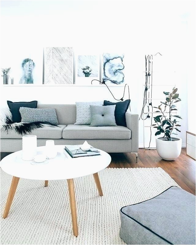 Grey Couch Blue Rug Living Room Ideas Grey Couch Light sofa Decorating
