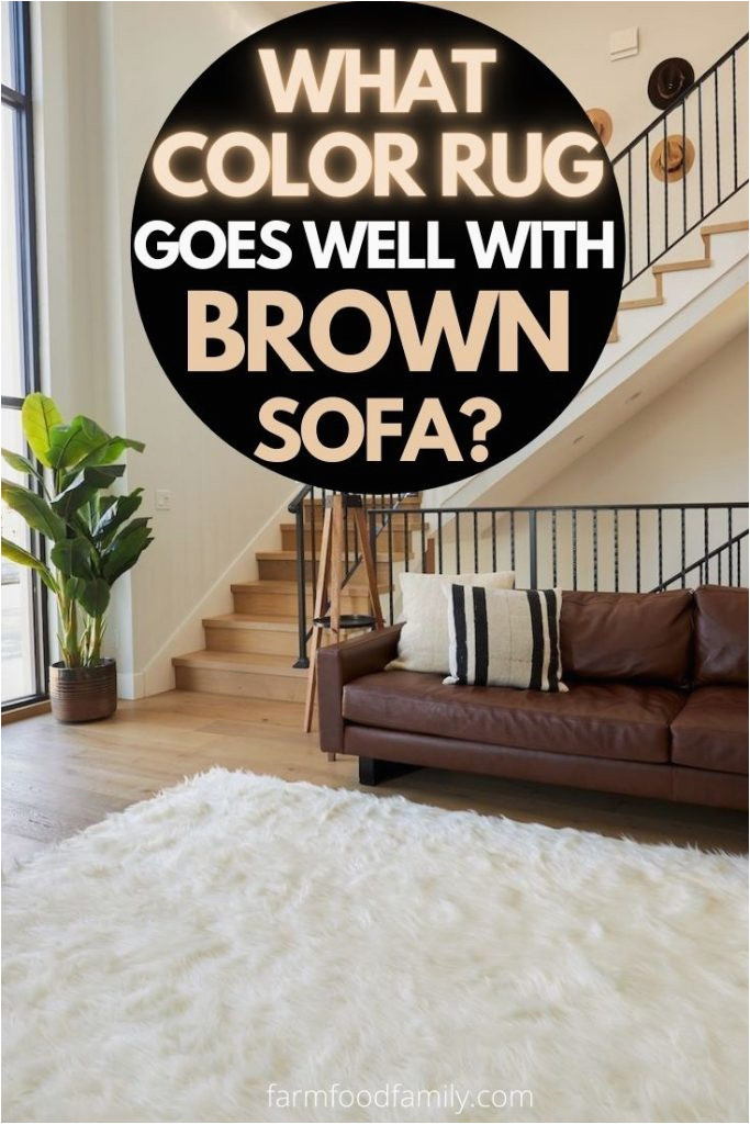 Area Rug to Match Brown Couch What Color Rug Goes Well with A Brown sofa? [25 Options with Pictures]