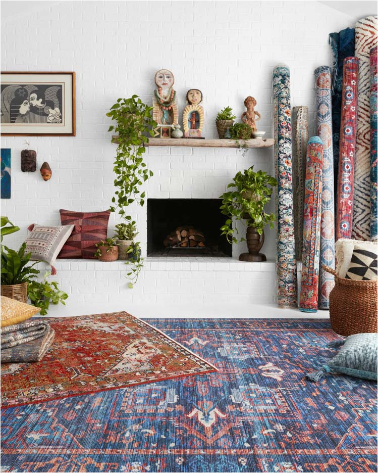 Area Rugs fort Collins Co Loloi Home Decor Textiles the Light Center fort Collins