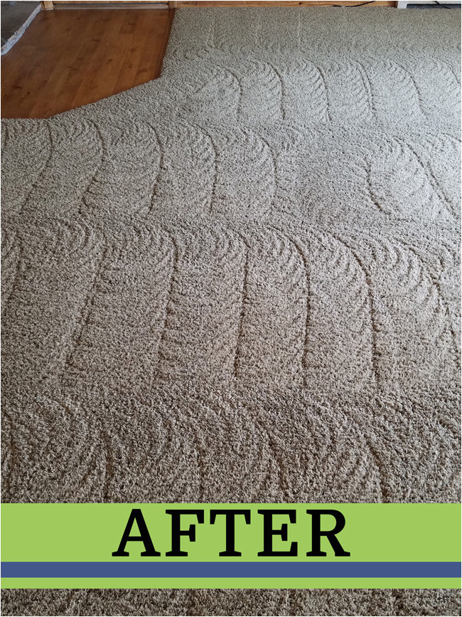 Area Rugs fort Collins Co Welcome to Dynamic Floor Care â fort Collins Floor Cleaning