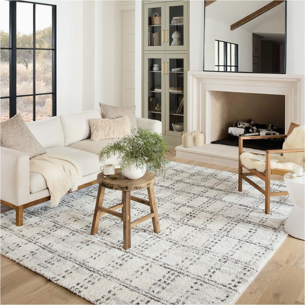 Overstock area Rugs 4 X 6 Buy 4′ X 6′, Shag area Rugs Online at Overstock Our Best Rugs Deals