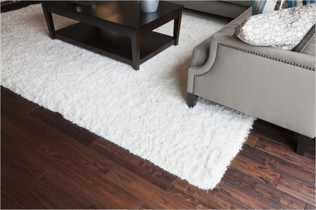 Pad for area Rug On Wood Floor How to Clean An area Rug On A Hardwood Floor Kiwi Services