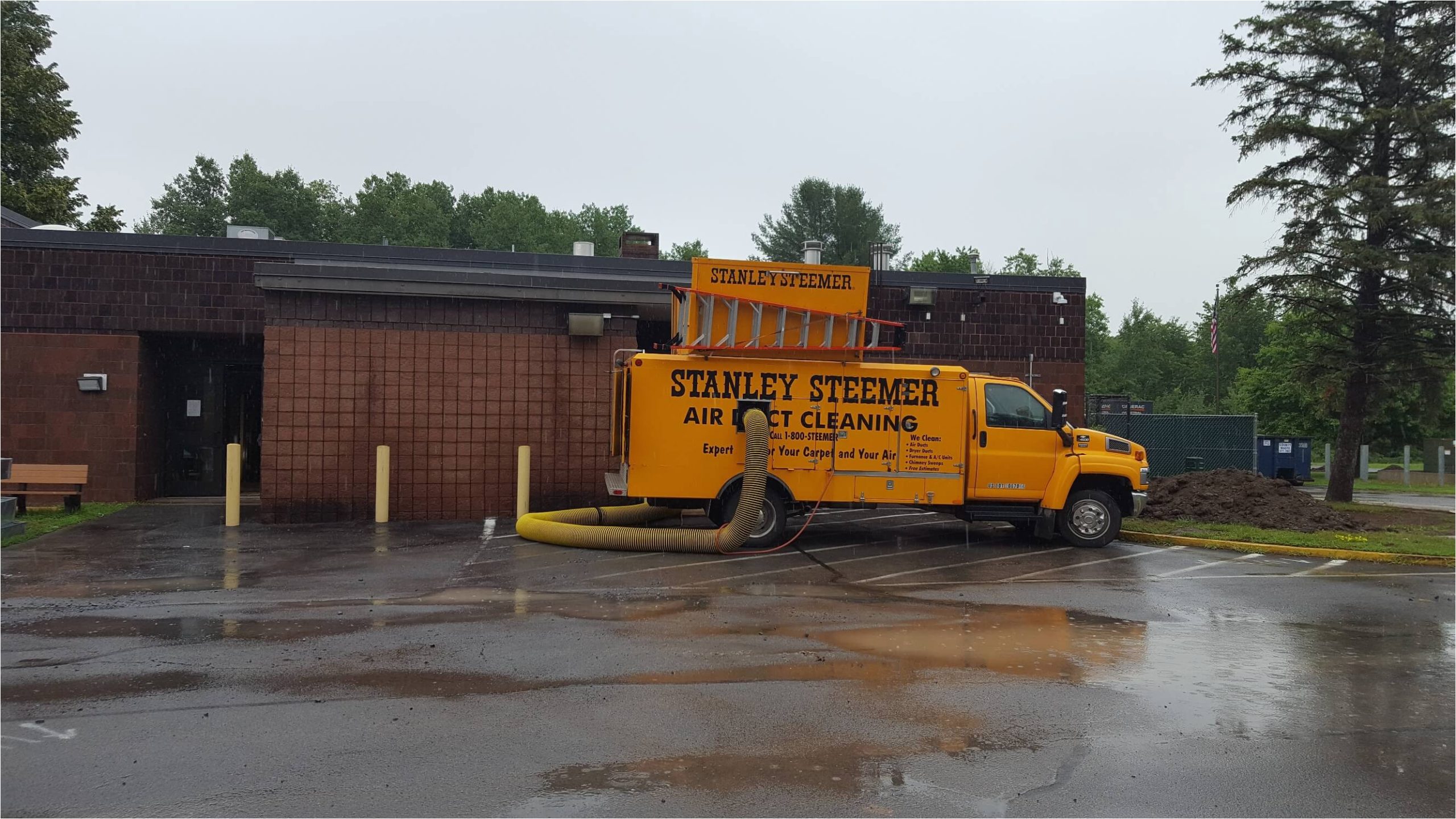 Area Rug Cleaning Albany Ny Albany, Ny Stanley Steemer Carpet, Air Duct & More Cleaning Services