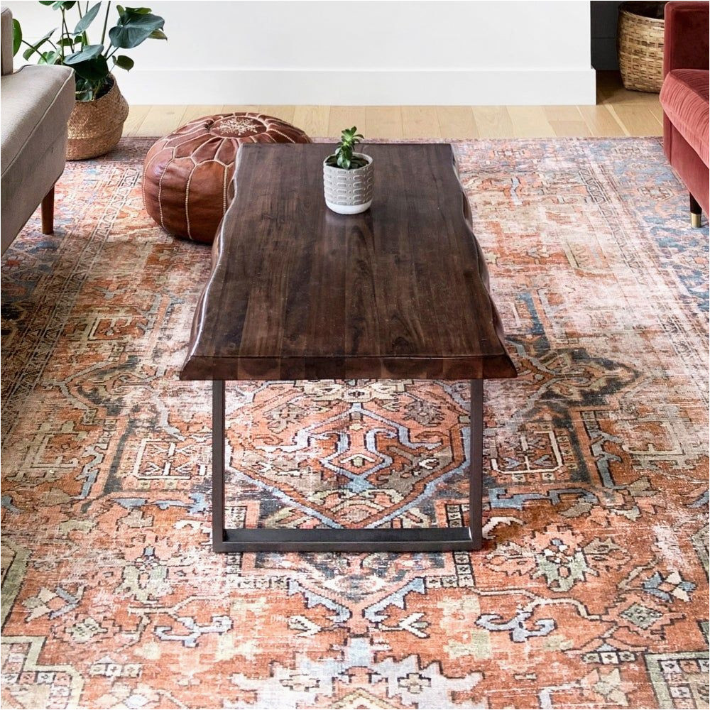 Alexander Home Traditional Distressed Rust Blue Medallion Printed area Rug Alexander Home Tremezzina Printed Distressed Geometric area Rug …