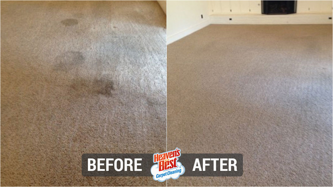 Area Rug Cleaning Bowling Green Ky Heaven’s Best Of Bowling Green – Dry In 1 Hour