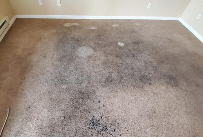 Area Rug Cleaning Bowling Green Ky On Target Cleaning â Residential and Commercial Cleaning and …