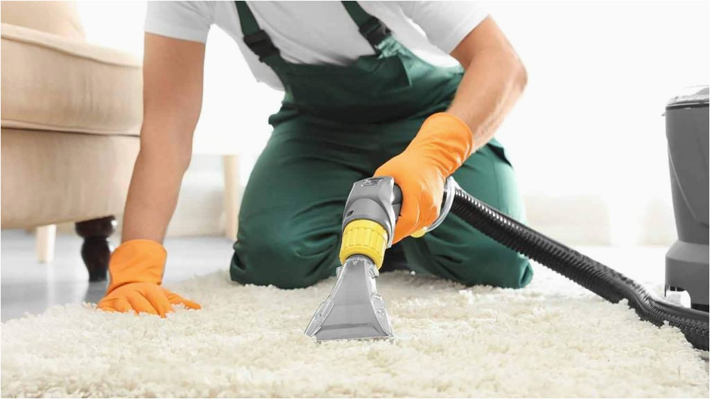 Area Rug Cleaning Roanoke Va Carpet Cleaning Roanoke, Va Roanoke Carpet Cleaners