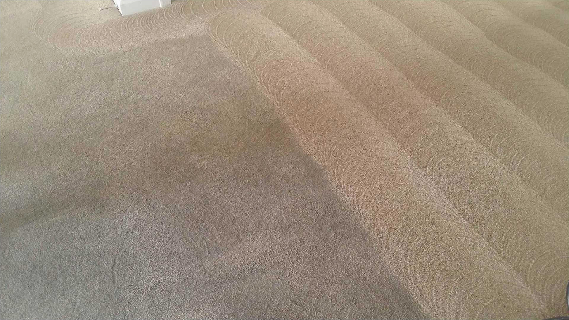 Area Rug Cleaning Roanoke Va Sci-tech Carpet Cleaning Get Clean Carpets today!
