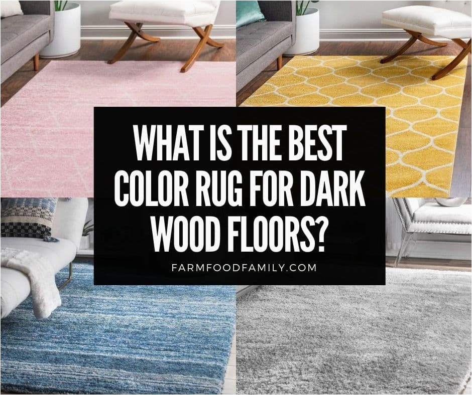 Area Rugs for Dark Hardwood Floors What is the Best Color Rug for Dark Wood Floors? (25 Ideas)