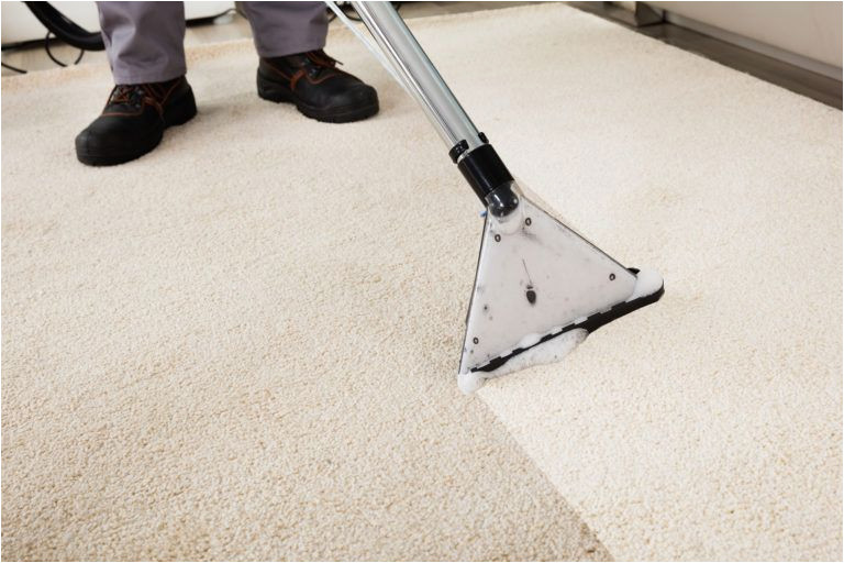 Best Way to Clean A White area Rug How to Clean Carpet