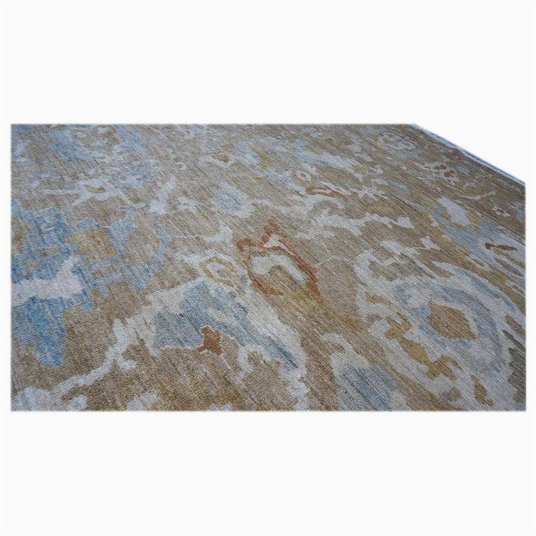 Danise Hand Woven Wool Light Gray area Rug Persischer Sultanabad-teppich Des 21. Jahrhunderts, 9×12 In Braun …