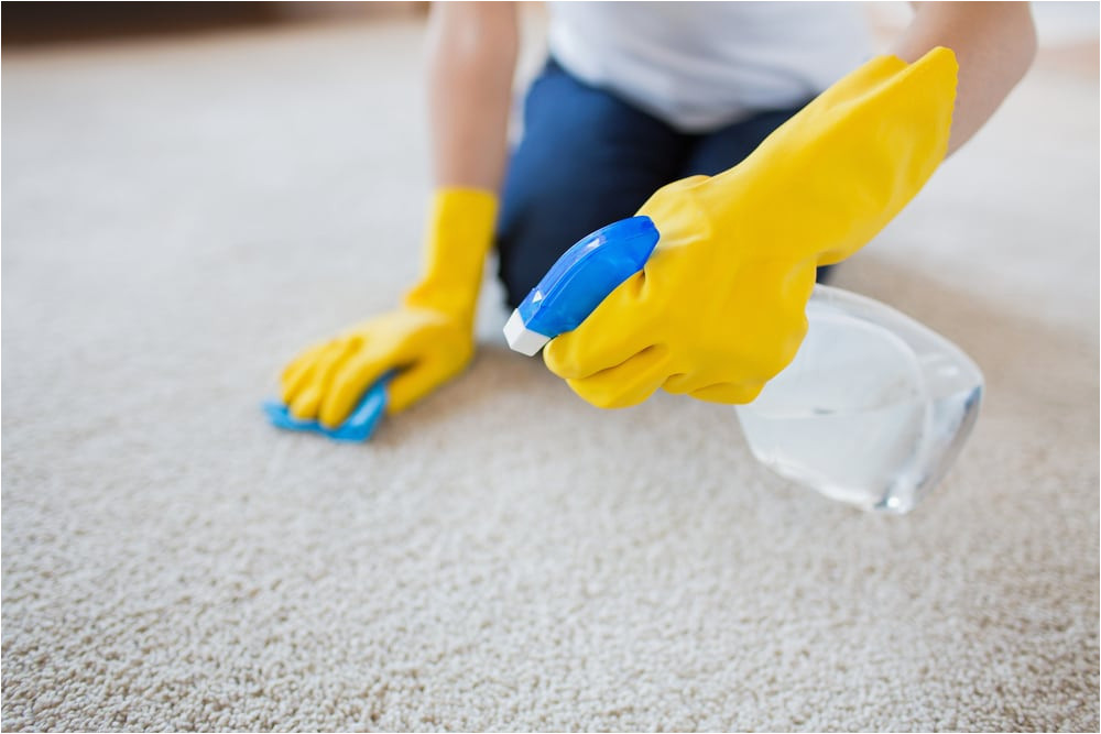 Do It Yourself area Rug Cleaning Do-it-yourself Carpet Cleaning Mistakes – Dan Dan the Carpet Man