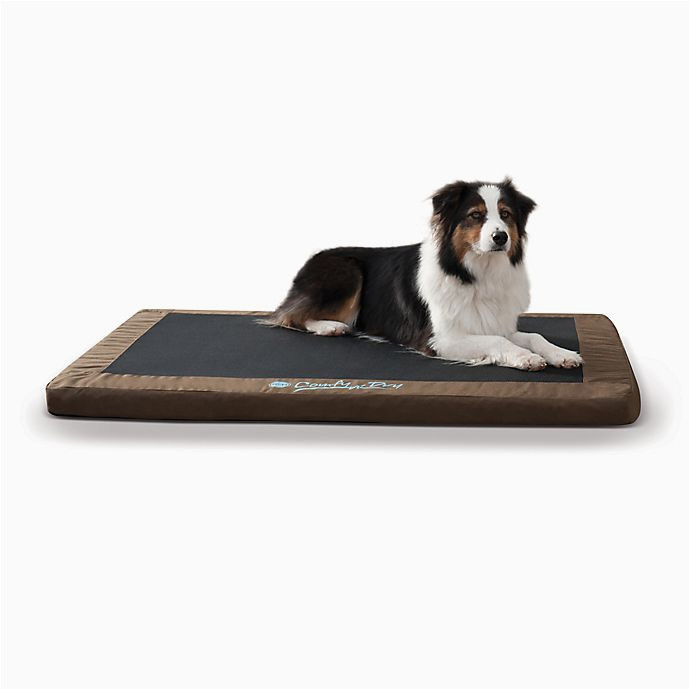 Dog Rug Bed Bath and Beyond K&hÂ® Comfy N’ Dry Medium Indoor/outdoor Bed Bed Bath & Beyond