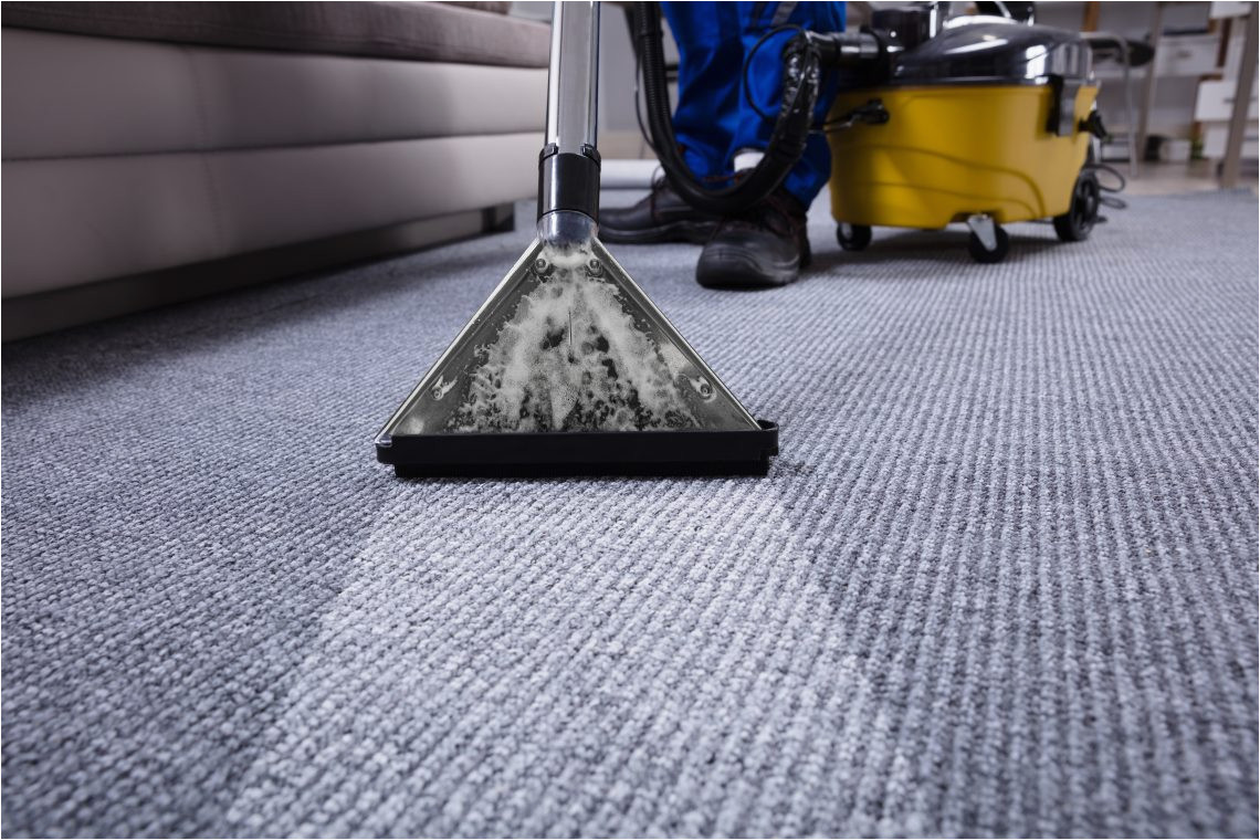 Dry Cleaners that Do area Rugs the Ultimate Guide On How to Dry Carpet Fast after Cleaning