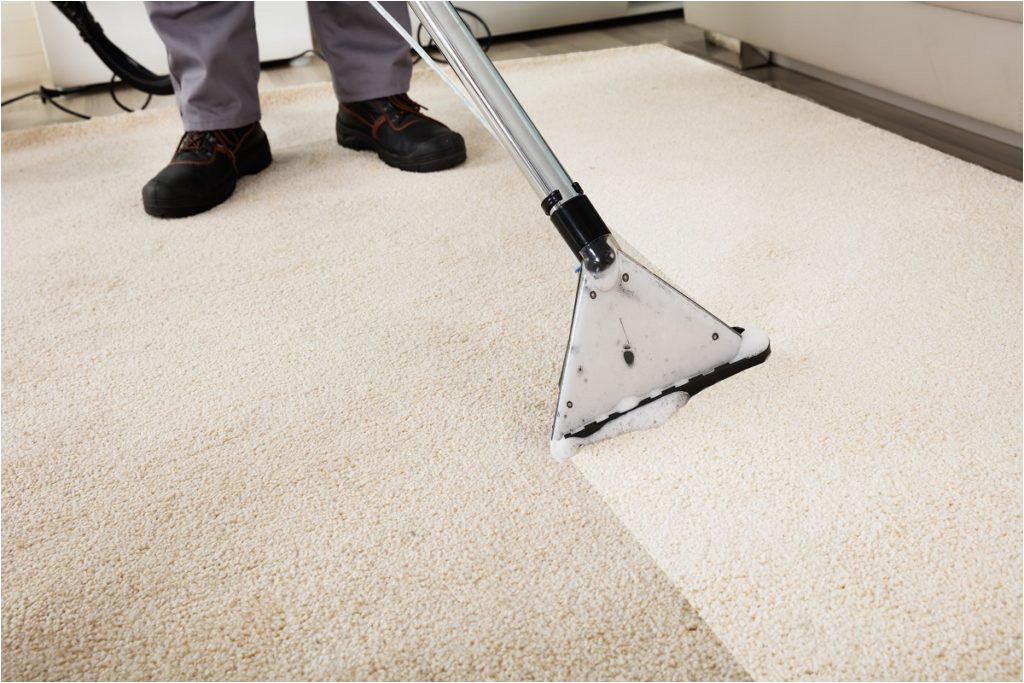 Professional area Rug Cleaning Cost How Much Does Carpet Cleaning Overall Cost? â Latest Prices