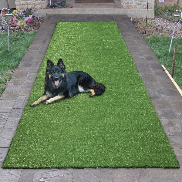 Sweet Home Meadowland Artificial Grass Indoor Outdoor area Rug Garden Green Indoor/outdoor Artificial Grass Turf area Rug – On …