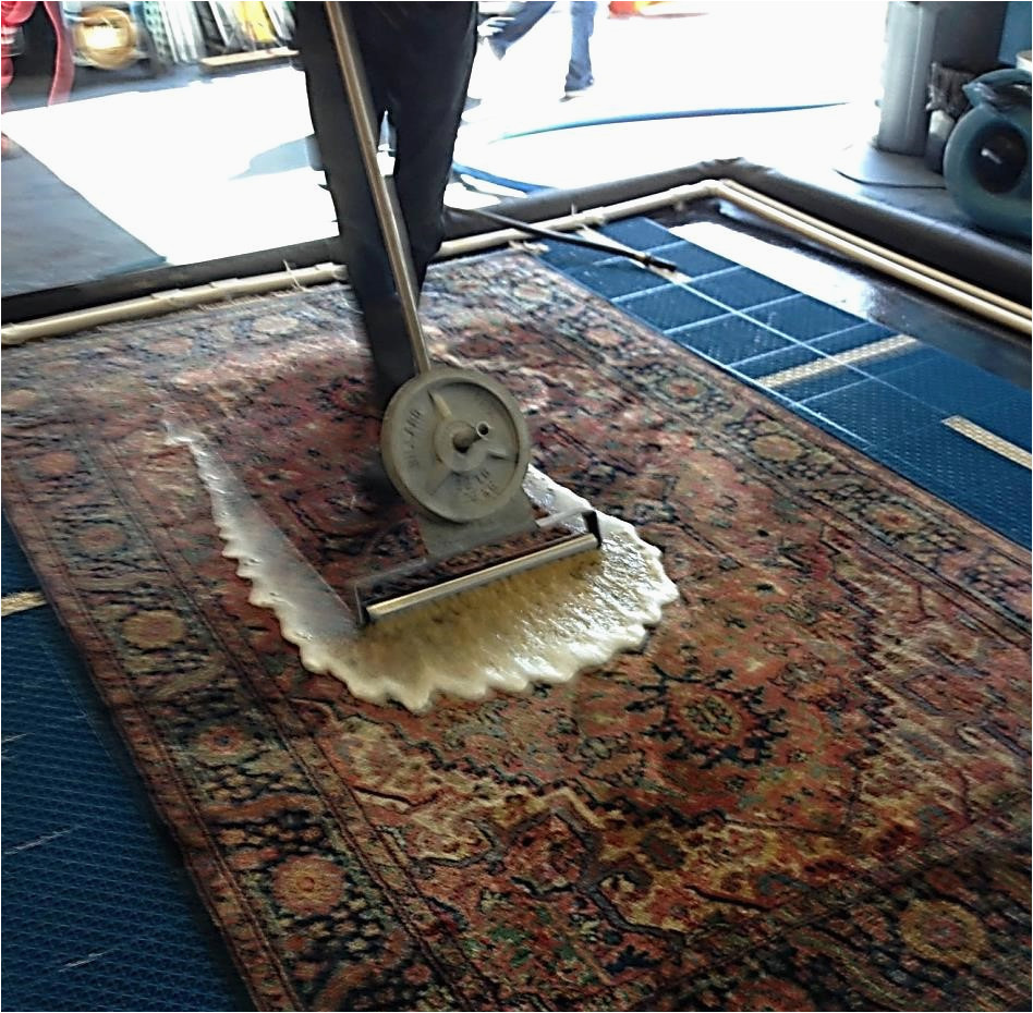 Area Rug Cleaners In My area Home
