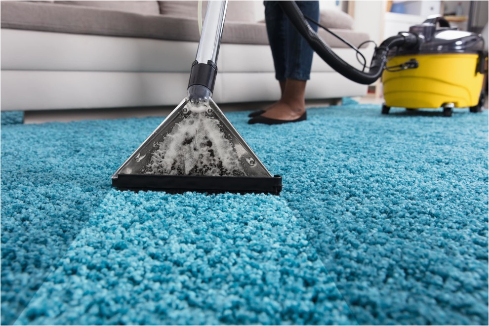 Area Rug Cleaners In My area Rug Cleaning & Cleaners How to Clean A Rug Cleanipedia Uk