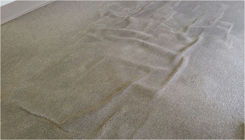 Area Rug Cleaning Augusta Ga the #1 Carpet and Rug Cleaning In Augusta, Ga 100lancarrezekiq 5-star Reviews!