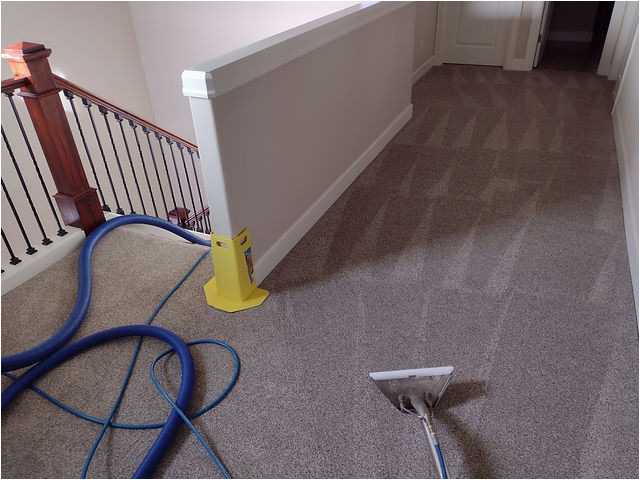 Area Rug Cleaning Beaverton oregon Beaverton Carpet Cleaning Emerald Carpet Cleaning