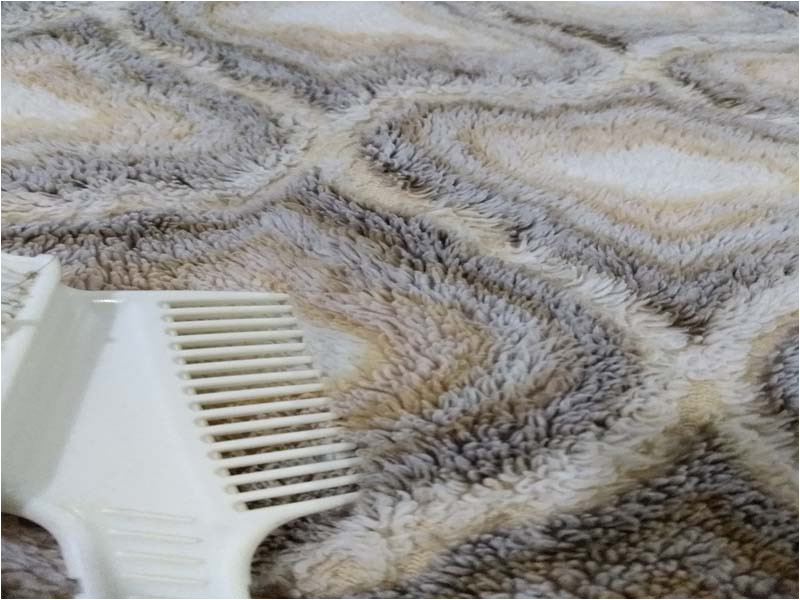 Area Rug Cleaning Bend oregon Carpet Cleaning Bend, oregon. Carpet Cleaners, or